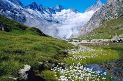 Switzerland pointed on young travellers