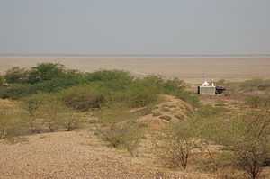 Synthesis Of Rainbow And Music In Mud-grey Rann - Translation Of Chapter ‘ભૂખરા રણમાં મેઘધનુષ્ય અને સંગીતનો સમન્વય’