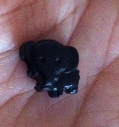 The Small Elephant Story.