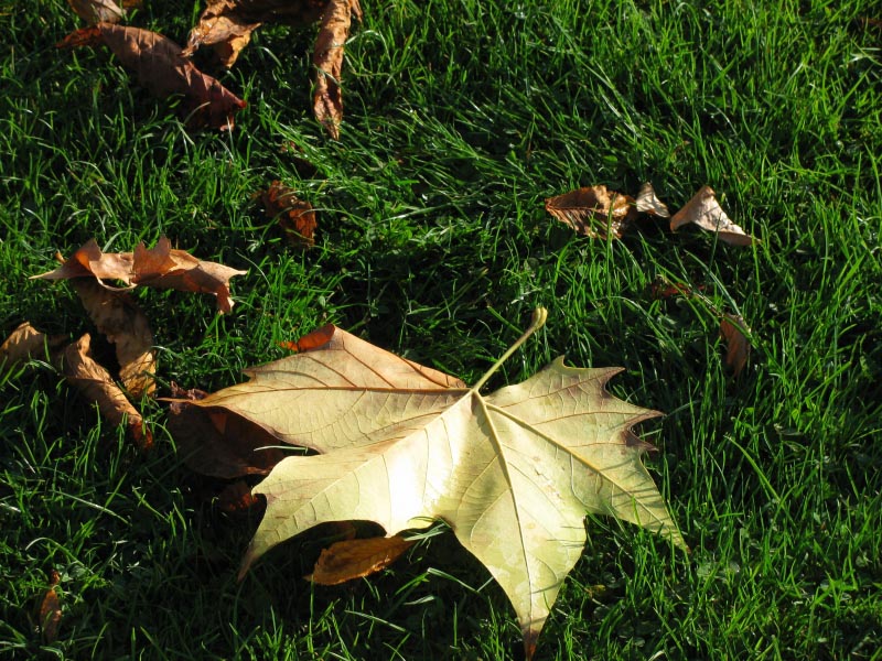 The Ex-Files: Lost Love, Found Hope.