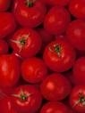 TANGY TOMATOES