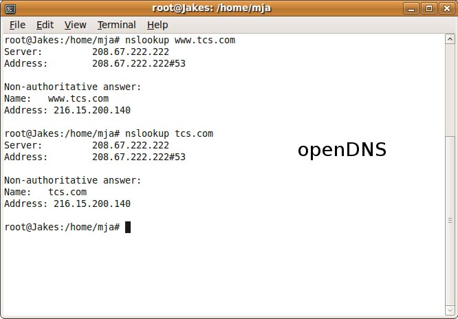 TCS.com Hack Exposes Difference Between Google Public DNS And Open DNS Services