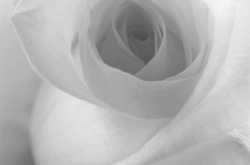 THE BEST OF TIMES IS NOW