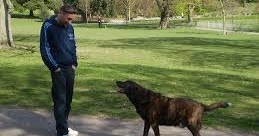 THE DOG WHO SPOKE HIS HEART OUT