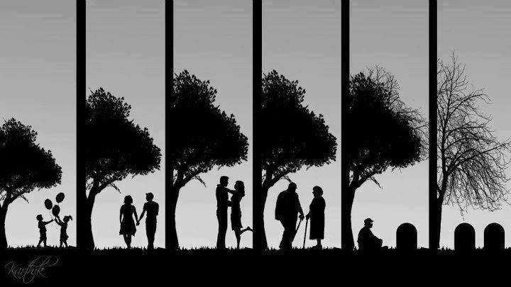 THE LIFE THAT IS.......