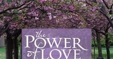THE POWER OF LOVE
