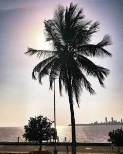 THINGS TO DO AND HOTELS TO STAY IN MUMBAI