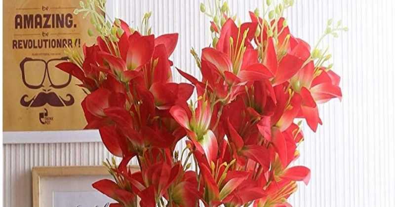 TIED Hearts, Last, Love, Longing, And RajVeer