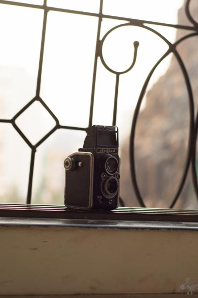 TLR Camera : What It Is And How To Use One