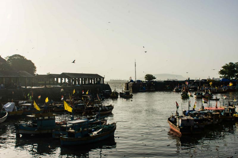 TTL: Sassoon Docks