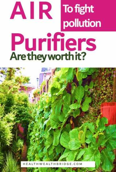 Tackle Air Pollution With Best Air Purifier In India:Till We Make Air Cleaner! - Healthwealthbridge