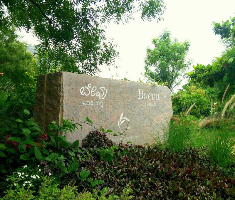 Tadka Travels: A Weekend At Baevu