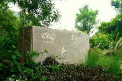 Tadka Travels: A Weekend at Baevu