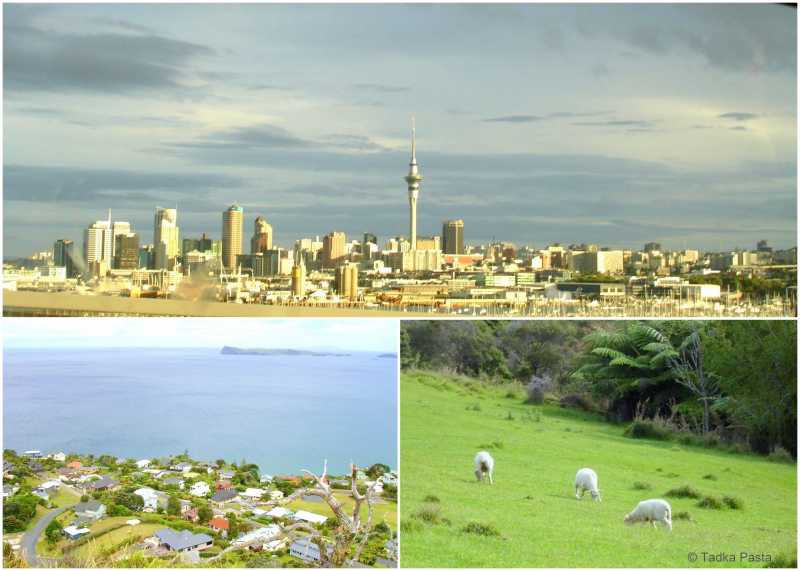 Tadka Travels: Cheese-tasting In New Zealand