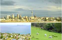 Tadka Travels: Cheese-tasting in New Zealand