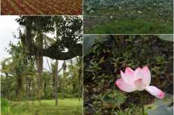 Tadka Travels - Jog Falls and Sharavathi Adventure Camp