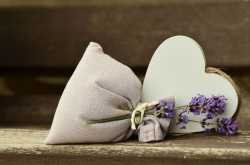 Take a peek into our vibrant idea, \