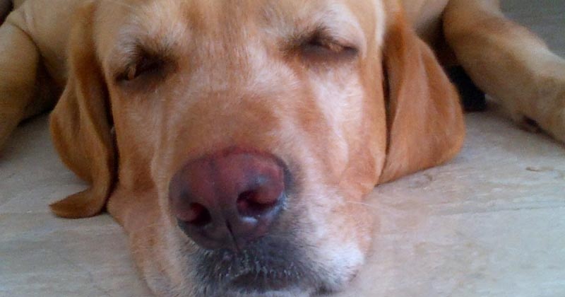 Taking The Easy Way Out