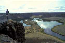 Tale of an old year : with resolution for the New Year!!!