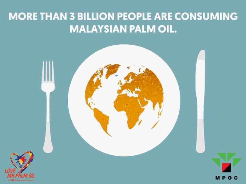 Talking About A Major Ingredient In Our Lives - Malaysian Palm Oil