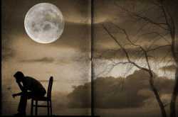 Tamasha hai Zindagi aur main ek bandar: तमाशा है ज़िन्दगी,