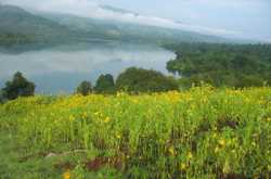 Tapola - Mini Kashmir