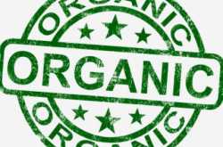 Targeted Organic Website Traffic - 6 SEO Trends That’ll Affect Your Traffic