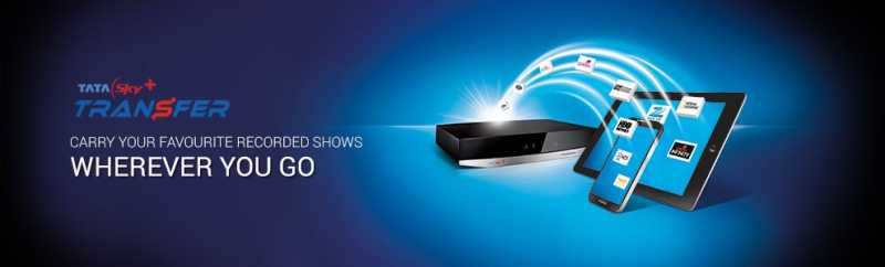 Tata Sky + Transfer --- A New Innovation In The DTH Industry