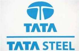 Tata Steel FPO : Review & Analysis