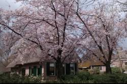 Teaching Aman to blog