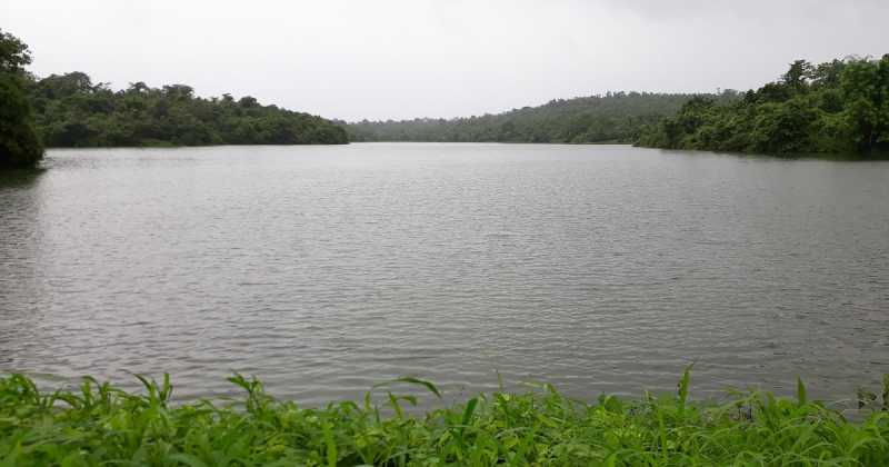 Team Ashwamedh Foundation In Murbad - 2