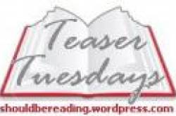 Teaser Tuesday