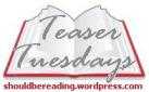 Teaser Tuesdays