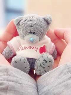 Teddy Bear Dp Pic For Facebook - Wallpaper DP