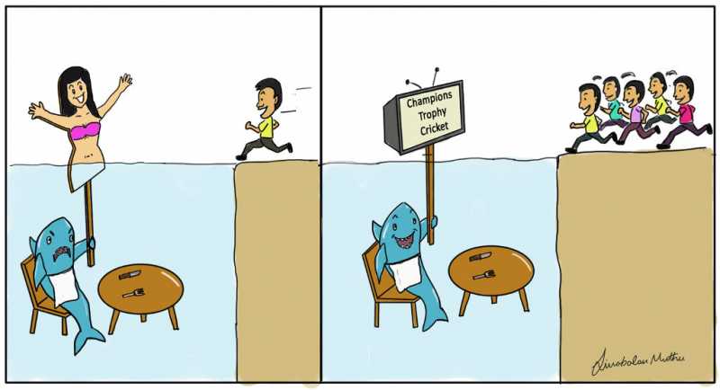 Teekhi Toon: New Tactic Of Sharks To Catch Cricket Addicted Men