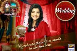 Telly: Nida Yasir (Pasha) Cute & Beautiful ARY TV Host