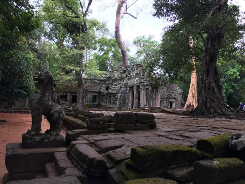 Temples Of Angkor 3- Ta Prohm