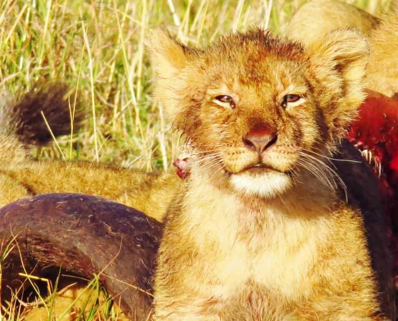 Terrific Tuesday Trials: Dauntless