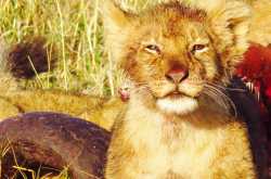 Terrific Tuesday Trials: Dauntless