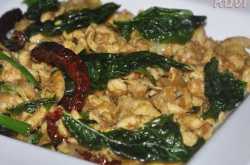 Thai Stir Fry Chicken with Basil and Red Chillies