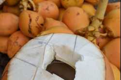 Thambili - Bright Orange Srilankan Coconuts