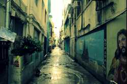 That Dingy Little Street.