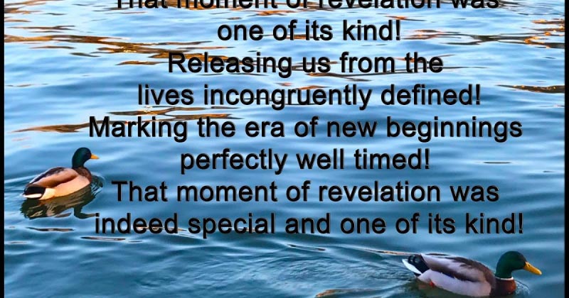 That Moment Of Revelation...