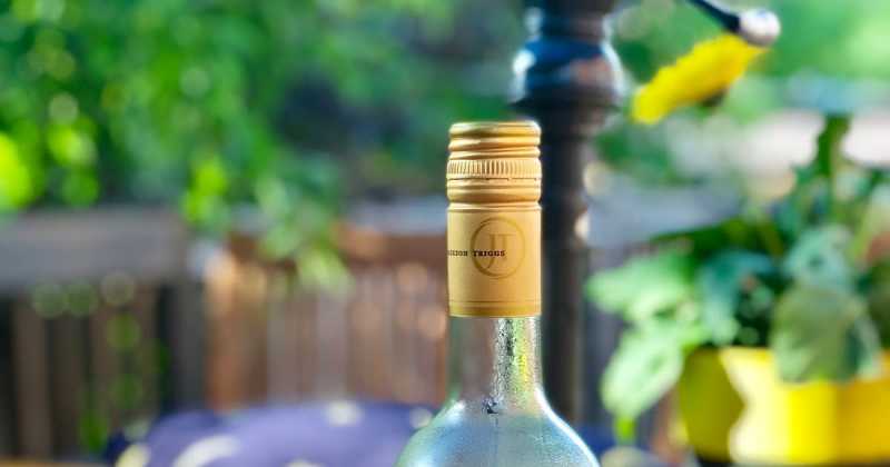 That Empty Bottle On The Top Shelf Needs A Companion And So Do I