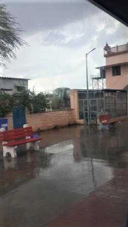 That Is How The Government Works! SundayPhotoFiction