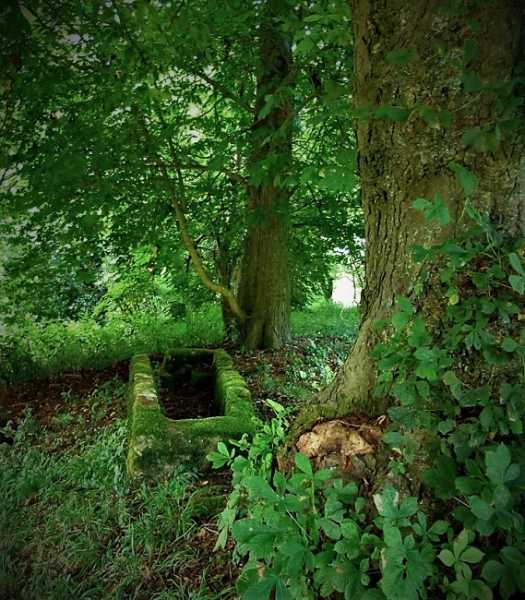 That Shade In The Glade # Writephoto