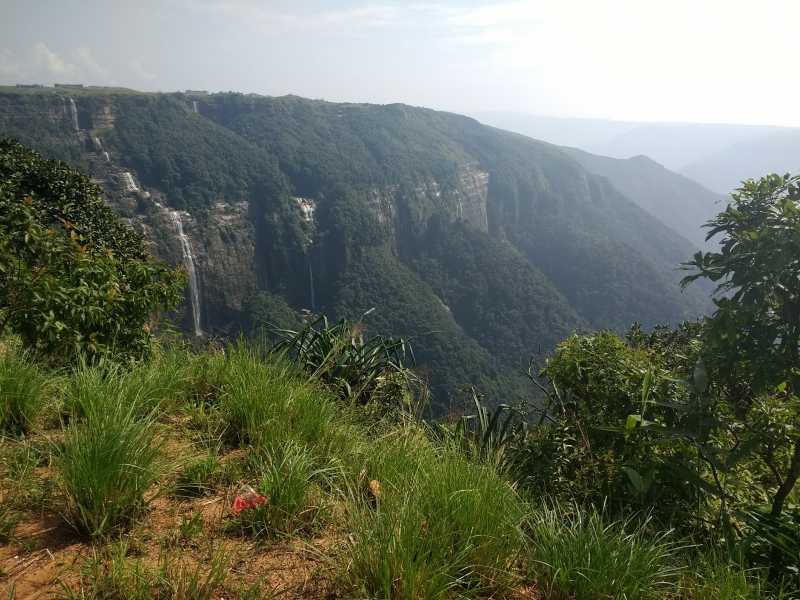 That Straight White Fall : Wordless Wednesday