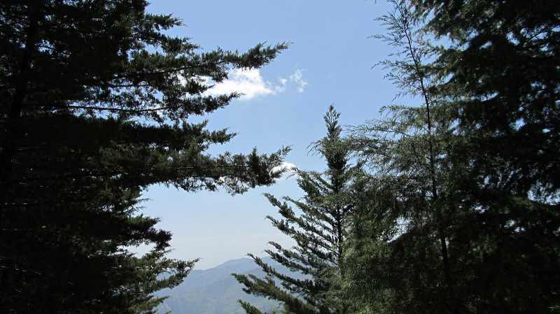 That Time Of The Year Again!