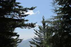 That time of the year again!