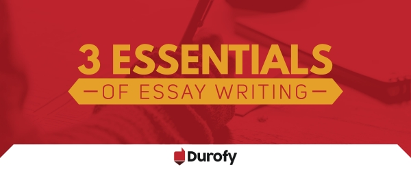 The 3 Essentials Of Essay Writing You Can